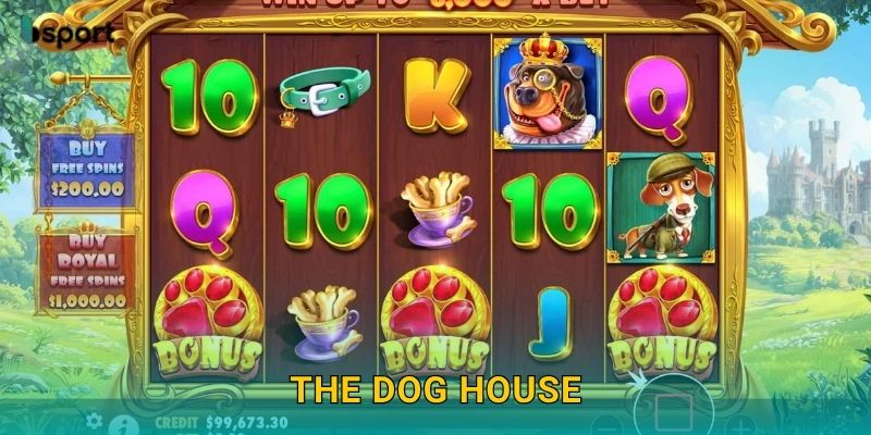 The Dog House – Slot vui nhộn cùng bầy cún đáng yêu tại Bsport 28 The Dog House – Slot vui nhộn cùng bầy cún đáng yêu tại Bsport
