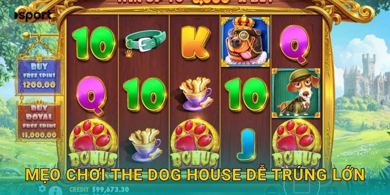 The Dog House – Slot vui nhộn cùng bầy cún đáng yêu tại Bsport 3 Mẹo chơi The Dog House dễ trúng lớn