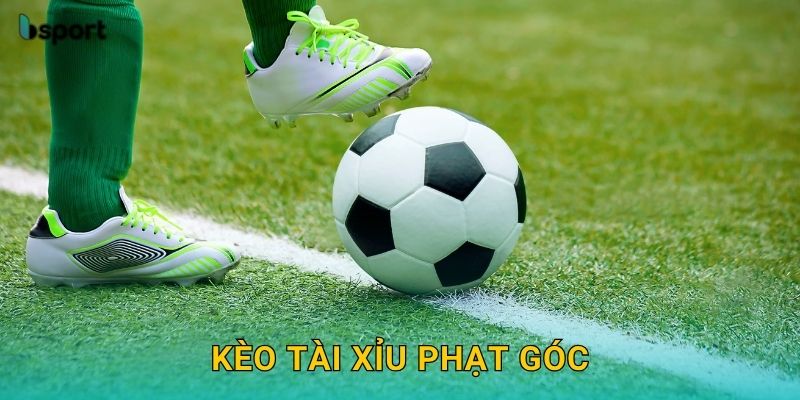 Kèo tài xỉu phạt góc – Thống kê chuẩn xác cùng Bsport 13 Kèo tài xỉu phạt góc – Thống kê chuẩn xác cùng Bsport
