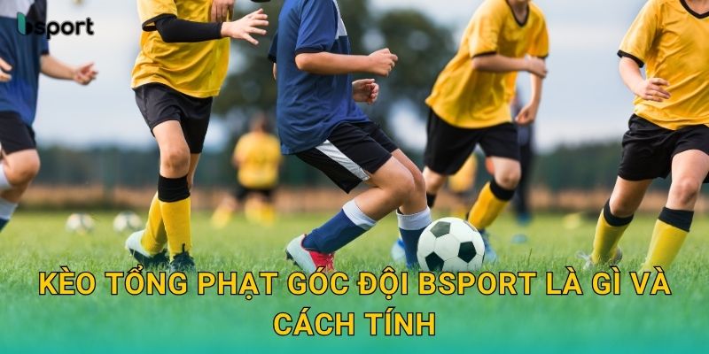 Kèo tổng phạt góc đội – Đọc tỷ lệ chuẩn xác tại Bsport 2 Kèo tổng phạt góc đội Bsport là gì và cách tính
