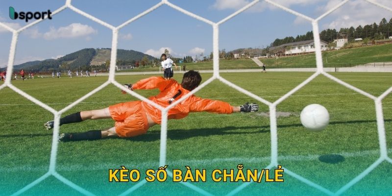 Kèo số bàn chẵn/lẻ – Dự đoán tỷ số thú vị tại Bsport 25 Kèo số bàn chẵn/lẻ – Dự đoán tỷ số thú vị tại Bsport