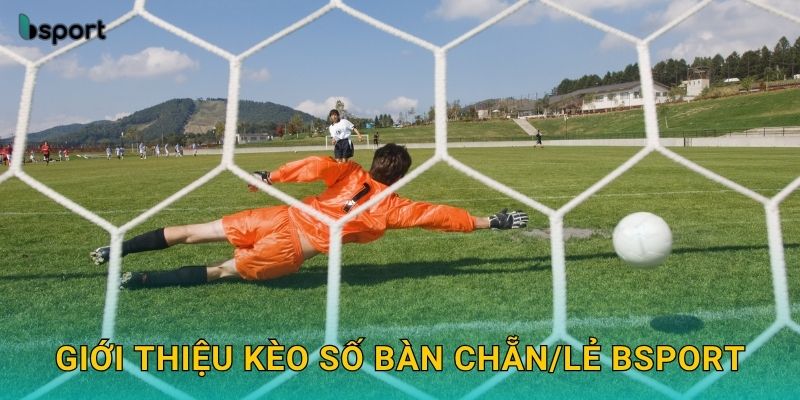 Kèo số bàn chẵn/lẻ – Dự đoán tỷ số thú vị tại Bsport 2 Giới thiệu kèo số bàn chẵn/lẻ Bsport
