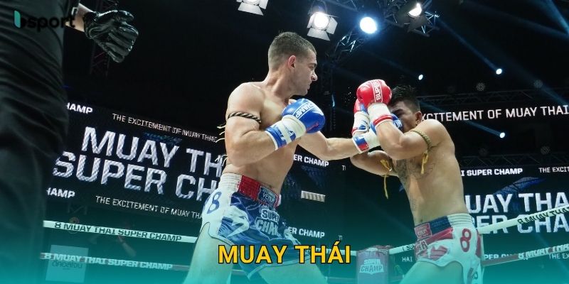 Muay Thái – Trải nghiệm võ thuật hấp dẫn tại Bsport 10 Muay Thái – Trải nghiệm võ thuật hấp dẫn tại Bsport