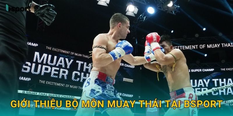 Muay Thái – Trải nghiệm võ thuật hấp dẫn tại Bsport 2 Giới thiệu bộ môn Muay Thái tại Bsport