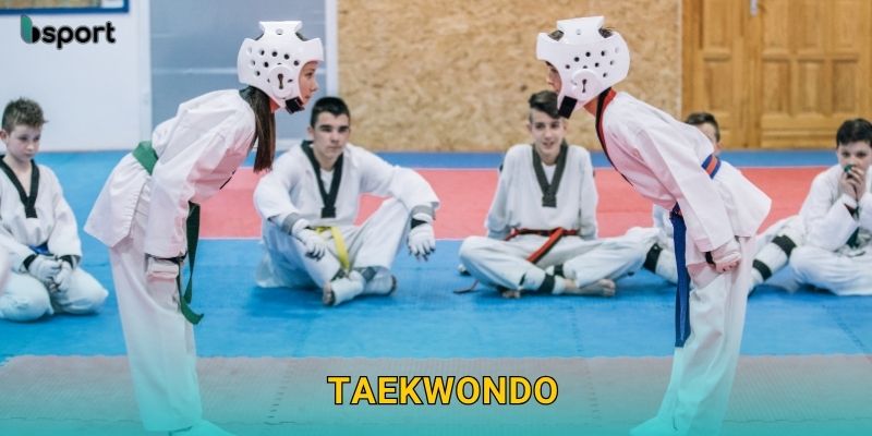 Taekwondo – Sự kết hợp tốc độ và chiến thuật tại Bsport 25 Taekwondo – Sự kết hợp tốc độ và chiến thuật tại Bsport
